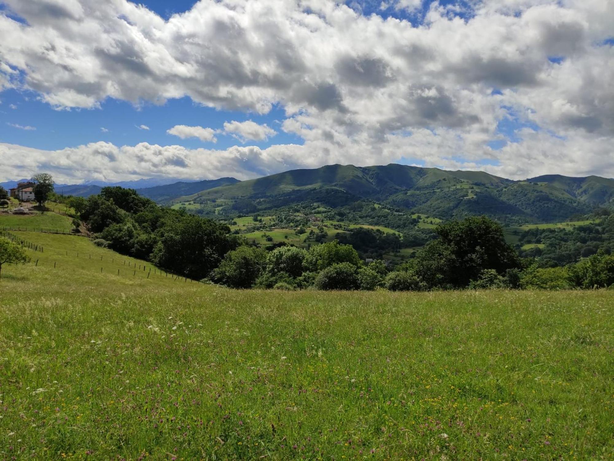 El Mirador De Sorribes Daire Sevares Oda fotoğraf